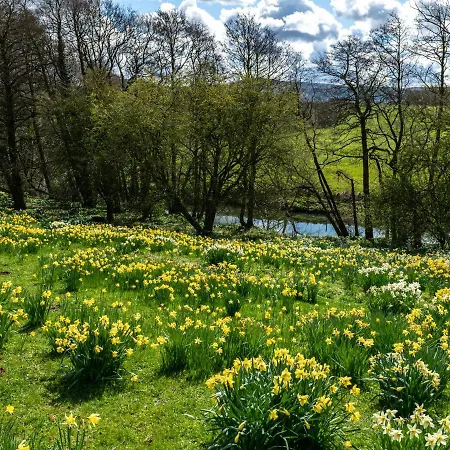 מלון Rudby Hall יארם