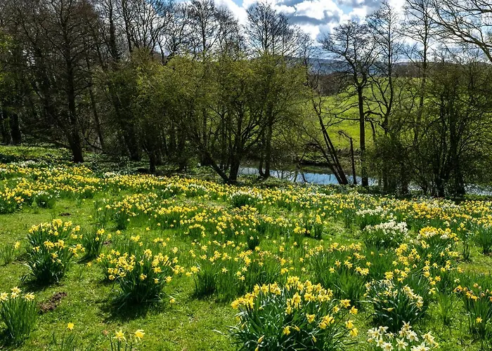 فندق Rudby Hall يارم