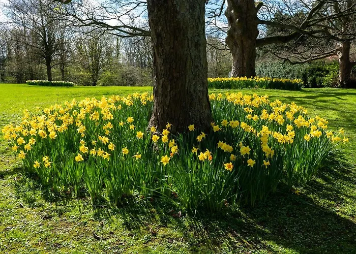 Rudby Hall فندق